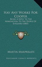 Hay Any Worke For Cooper: Being A Reply To The Admonition To The People Of England (1845)