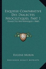 Esquisse Comparative Des Dialectes Neoceltiques, Part 1: Dialectes Britanniques (1868)