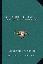 Gefahrliche Jahre: Komodie In Drei Akten (1915)