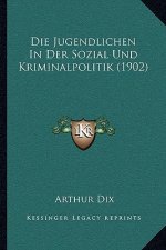 Die Jugendlichen In Der Sozial Und Kriminalpolitik (1902)