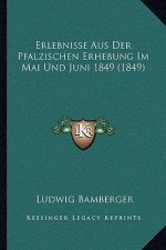 Erlebnisse Aus Der Pfalzischen Erhebung Im Mai Und Juni 1849 (1849)