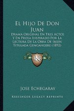 El Hijo De Don Juan: Drama Original En Tres Actos Y En Prosa Inspirado Por La Lectura De La Obra De Ibsen Titulada Gengangere (1892)