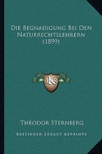 Die Begnadigung Bei Den Naturrechtslehrern (1899)