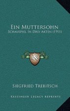 Ein Muttersohn: Schauspiel In Drei Akten (1911)