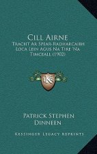Cill Airne: Tracht Ar Spear-Radharcaibh Loca Lein Agus Na Tire 'Na Timceall (1902)