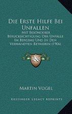 Die Erste Hilfe Bei Unfallen: Mit Besonderer Berucksichtigung Der Unfalle Im Bergbau Und In Den Verwandten Betrieben (1906)