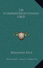 Die Schaedelverletzungen (1865)