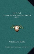 Indivi: Ein Absonderlicher Reisebericht (1892)