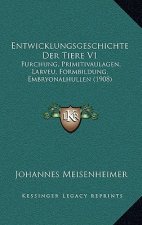 Entwicklungsgeschichte Der Tiere V1: Furchung, Primitivaulagen, Larveu, Formbildung, Embryonalhullen (1908)