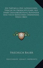 Die Partikeln Der Lateinischen Sprache In Ubersichtlicher, Auf Ihrer Grundbedeutung Ruhender Und Nach Kategorien Ordnender Weise (1865)