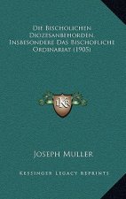 Die Bischolichen Diozesanbehorden, Insbesondere Das Bischofliche Ordinariat (1905)
