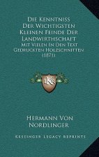 Die Kenntniss Der Wichtigsten Kleinen Feinde Der Landwirthschaft: Mit Vielen In Den Text Gedruckten Holzschnitten (1871)