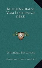 Bluthenstrauss Vom Lebenswege (1893)