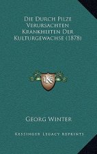Die Durch Pilze Verursachten Krankheiten Der Kulturgewachse (1878)