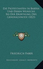 Die Protestanten In Baiern Und Deren Wunsche Bei Der Eroffnung Der Generalsynode (1823)