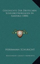 Geschichte Der Deutschen Schulbestrebungen In Amerika (1884)