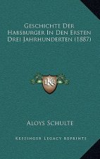 Geschichte Der Habsburger In Den Ersten Drei Jahrhunderten (1887)