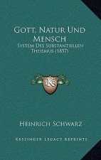Gott, Natur Und Mensch: System Des Substantiellen Theismus (1857)