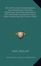 Die Gottliche Zuvorersehung Und Erwahlung In Ihrer Bedeutung Fur Den Heilsstand Des Einzelnen Glaubigen Nach Dem Evangelium Des Paulus (1892)