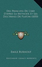 Des Principes De L'Art D'Apres La Methode Et Les Doctrines De Platon (1850)