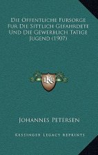 Die Offentliche Fursorge Fur Die Sittlich Gefahrdete Und Die Gewerblich Tatige Jugend (1907)
