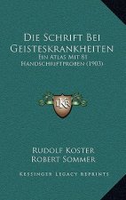 Die Schrift Bei Geisteskrankheiten: Ein Atlas Mit 81 Handschriftproben (1903)