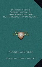 Die Augustin'sche Silberextraction In Ihrer Anwendung Auf Huttenproducte Und Erze (1851)