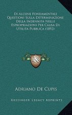 Di Alcune Fondamentali Questioni Sulla Determinazione Della Indennita Nelle Espropriazioni Per Causa Di Utilita Pubblica (1892)