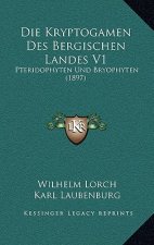 Die Kryptogamen Des Bergischen Landes V1: Pteridophyten Und Bryophyten (1897)