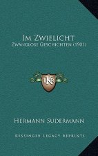 Im Zwielicht: Zwanglose Geschichten (1901)