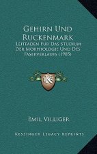Gehirn Und Ruckenmark: Leitfaden Fur Das Studium Der Morphologie Und Des Faserverlaufs (1905)