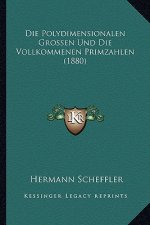 Die Polydimensionalen Grossen Und Die Vollkommenen Primzahlen (1880)