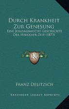 Durch Krankheit Zur Genesung: Eine Jerusalemische Geschichte Der Herodier-Zeit (1873)