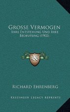 Grosse Vermogen: Ihre Entstehung Und Ihre Bedeutung (1902)