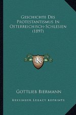 Geschichte Des Protestantismus In Osterreichisch-Schlesien (1897)
