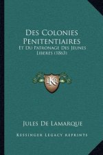 Des Colonies Penitentiaires: Et Du Patronage Des Jeunes Liberes (1863)