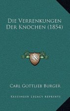 Die Verrenkungen Der Knochen (1854)