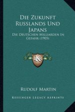 Die Zukunft Russlands Und Japans: Die Deutschen Milliarden In Gefahr (1905)