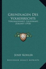 Grundlagen Des Volkerrechts: Vergangenheit, Gegenwart, Zukunft (1918)