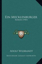 Ein Mecklenburger: Roman (1901)