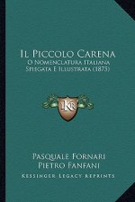 Il Piccolo Carena: O Nomenclatura Italiana Spiegata E Illustrata (1875)