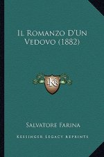 Il Romanzo D'Un Vedovo (1882)