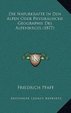 Die Naturkrafte In Den Alpen Oder Physikalische Geographie Des Alpenbirges (1877)