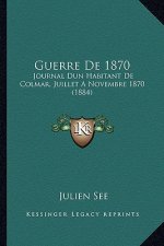 Guerre De 1870: Journal Dun Habitant De Colmar, Juillet A Novembre 1870 (1884)