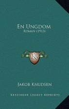 En Ungdom: Roman (1913)