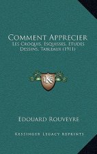 Comment Apprecier: Les Croquis, Esquisses, Etudes Dessins, Tableaux (1911)