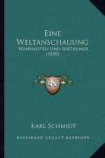 Eine Weltanschauung: Wahrheiten Und Irrthumer (1850)