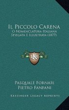 Il Piccolo Carena: O Nomenclatura Italiana Spiegata E Illustrata (1877)