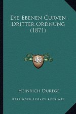 Die Ebenen Curven Dritter Ordnung (1871)