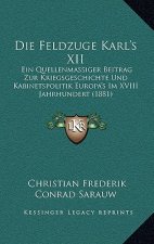 Die Feldzuge Karl's XII: Ein Quellenmassiger Beitrag Zur Kriegsgeschichte Und Kabinetspolitik Europa's Im XVIII Jahrhundert (1881)